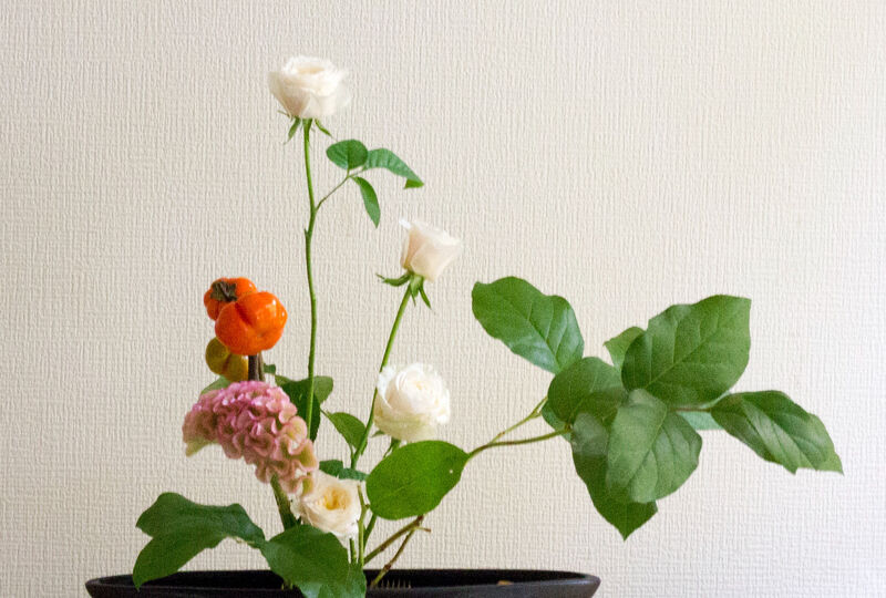 画像6845：初めて見た時は驚きました。ハナナスなのにカボチャの形！！